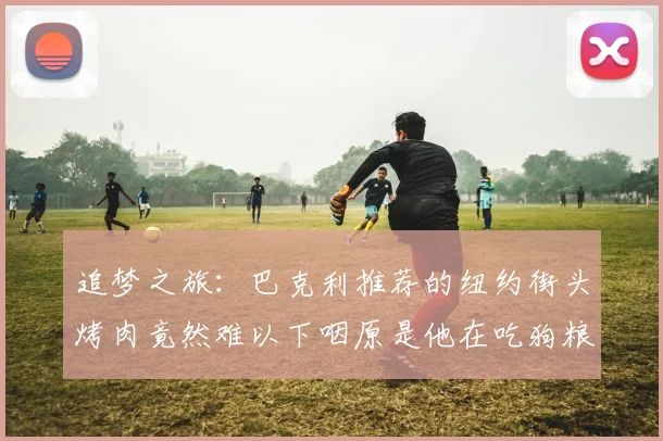 追梦之旅：巴克利推荐的纽约街头烤肉竟然难以下咽原是他在吃狗粮