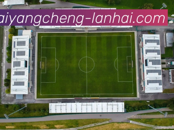 数据防护可视化